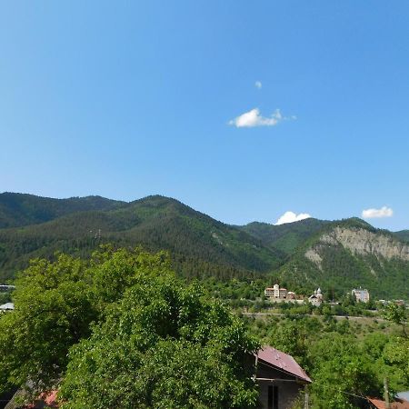 Akaki'S Guesthouse Borjomi Exterior foto