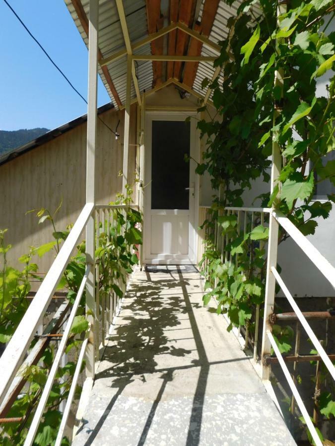 Akaki'S Guesthouse Borjomi Exterior foto